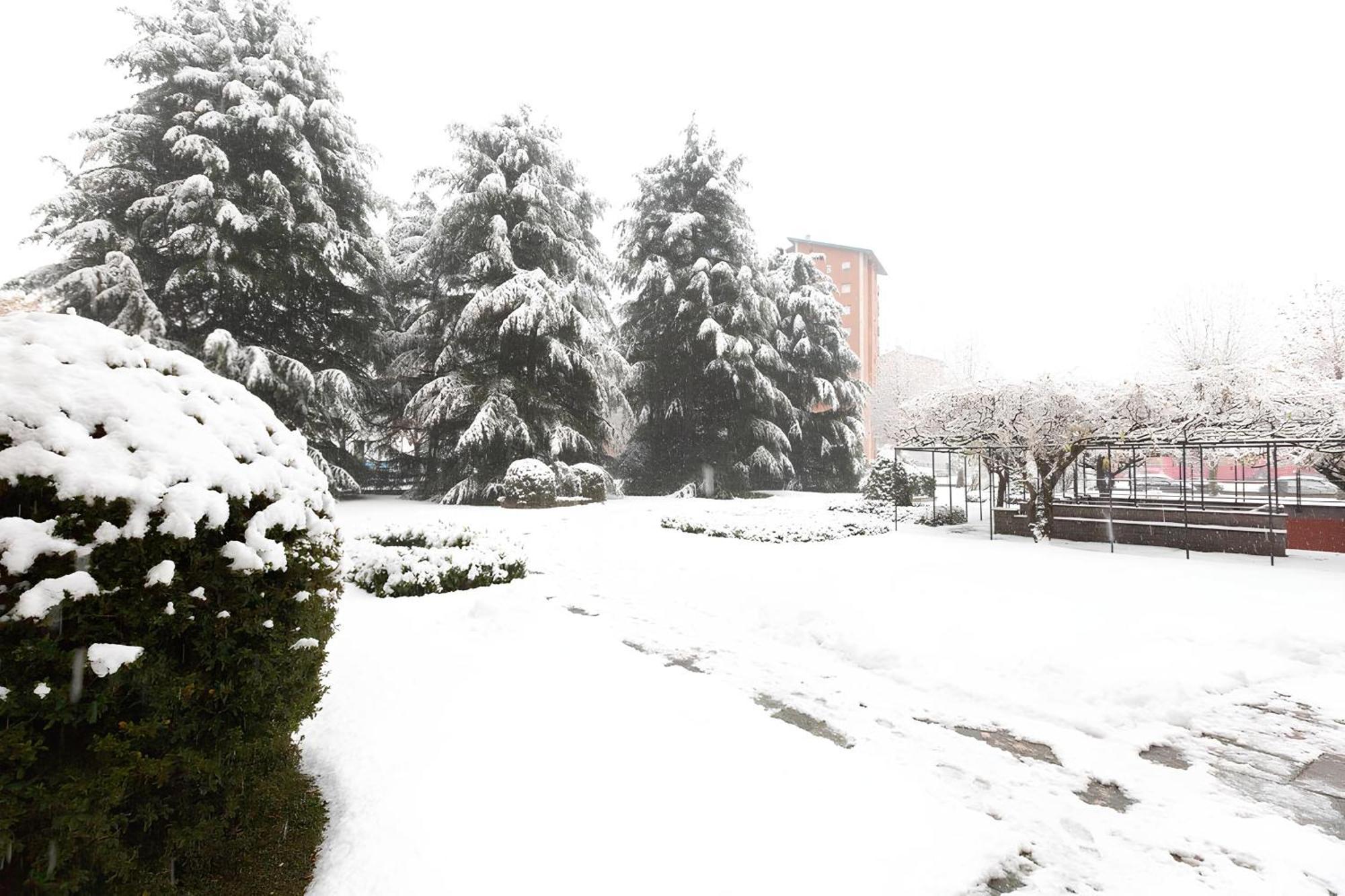 I Cedri Apartment Turin Exterior photo